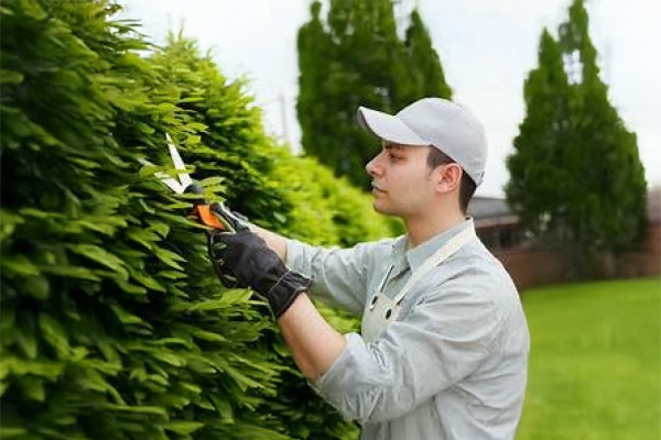Jardinería